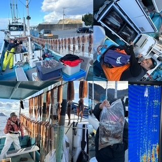 ヤリイカ・スルメイカ