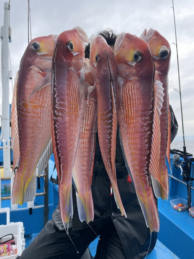 アマダイ(アカアマダイ)