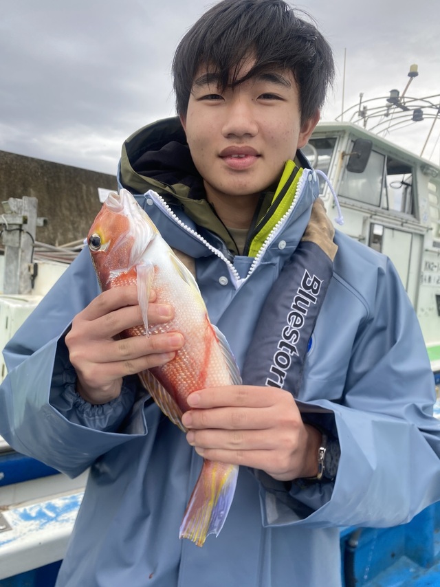 アマダイ(アカアマダイ)