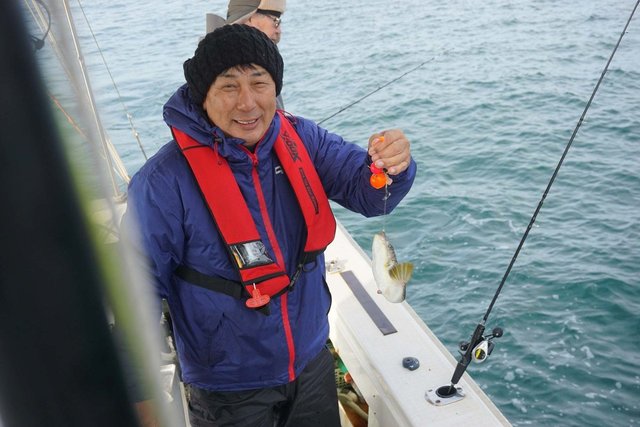 ショウサイフグ