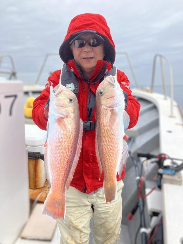 アマダイ(アカアマダイ)・シロアマダイ