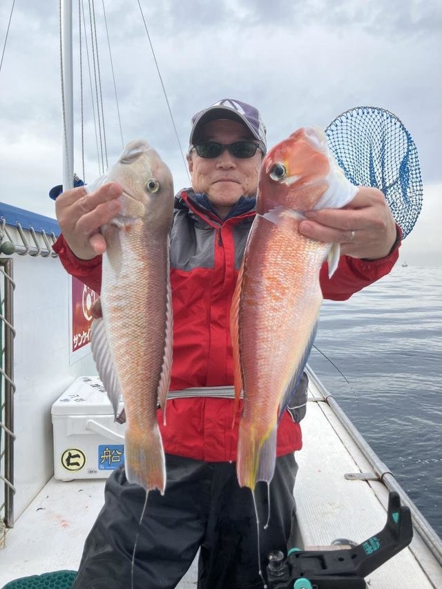 アマダイ(アカアマダイ)・シロアマダイ