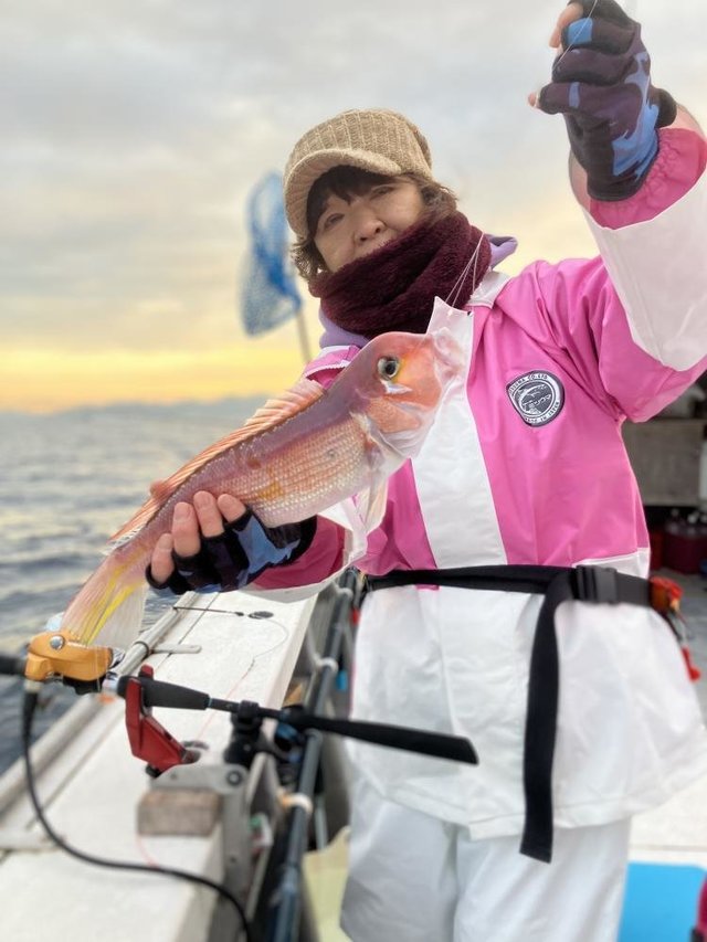 アマダイ(アカアマダイ)