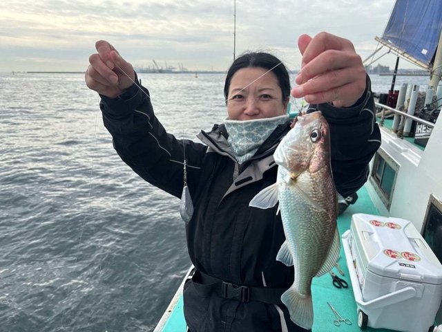 イシモチ(シログチ)