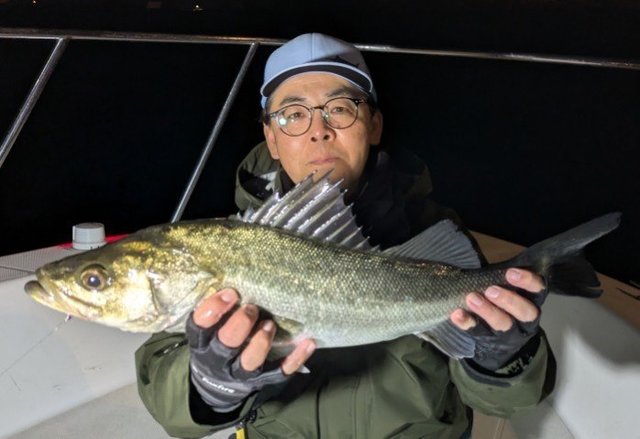 シーバス(スズキ)