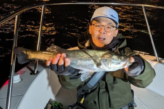 シーバス(スズキ)