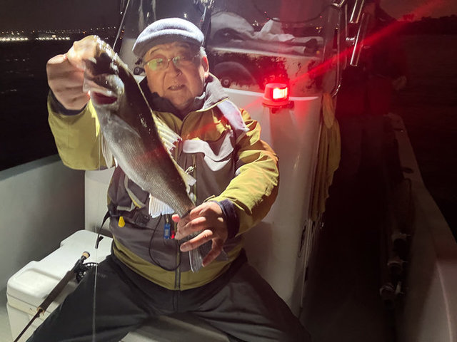 シーバス(スズキ)