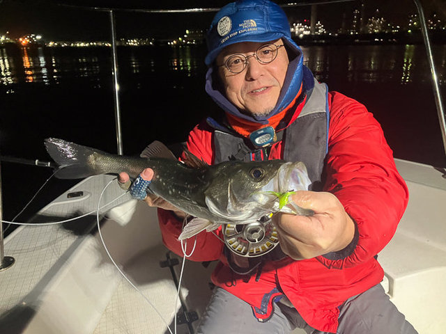 シーバス(スズキ)