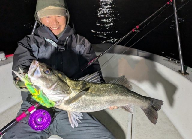 シーバス(スズキ)