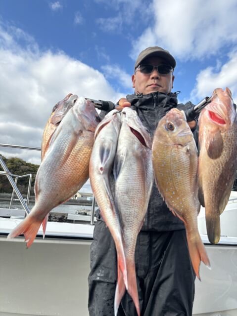 マダイ・アコウ(キジハタ)