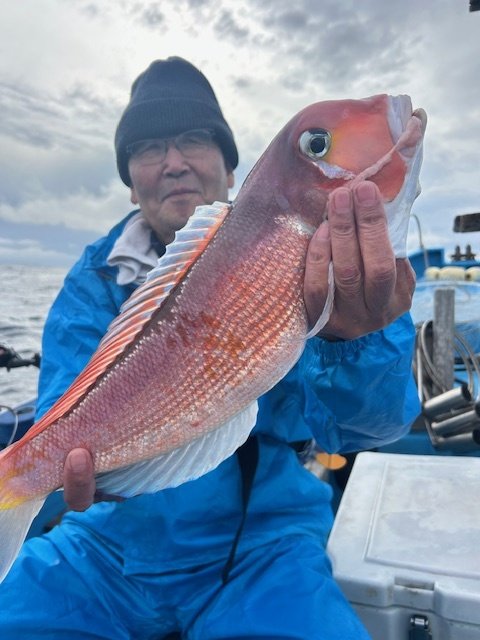 アマダイ(アカアマダイ)