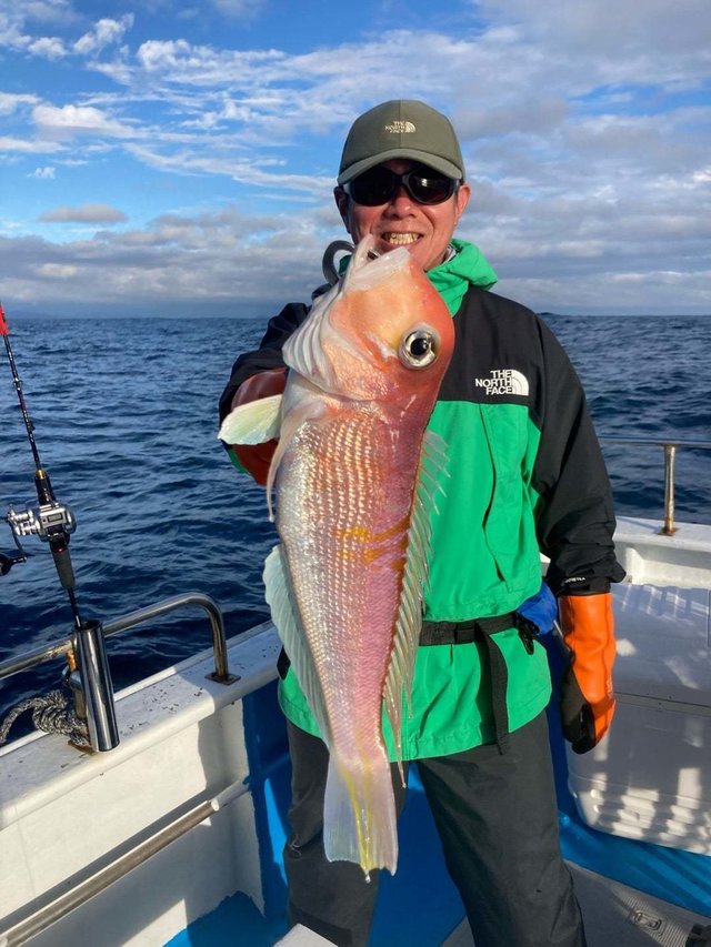 アマダイ(アカアマダイ)