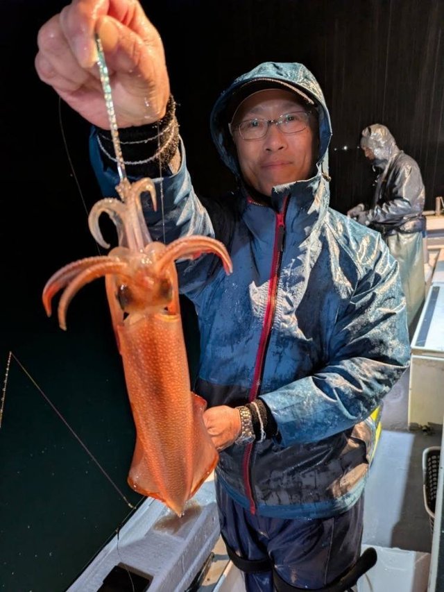 アカイカ(ケンサキイカ)