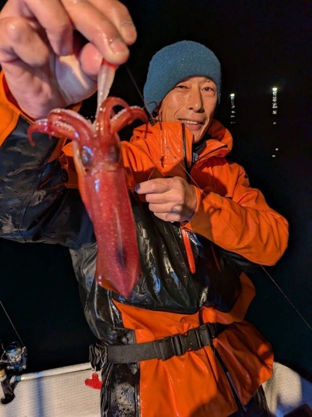 アカイカ(ケンサキイカ)