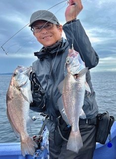 シロムツ(オオメハタ)