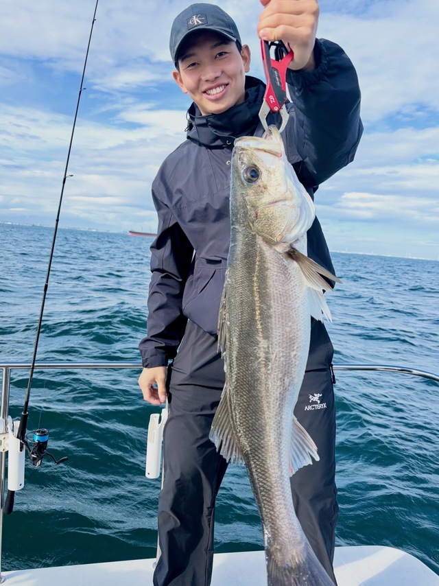 シーバス(スズキ)