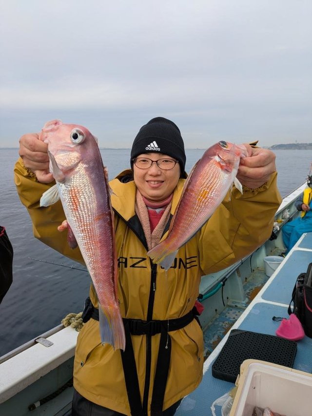 アマダイ(アカアマダイ)