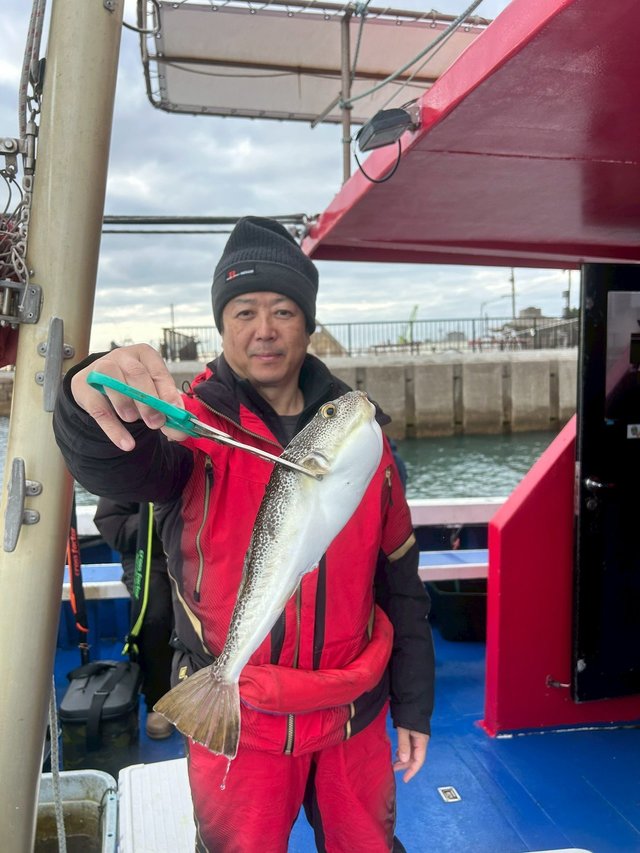 ショウサイフグ