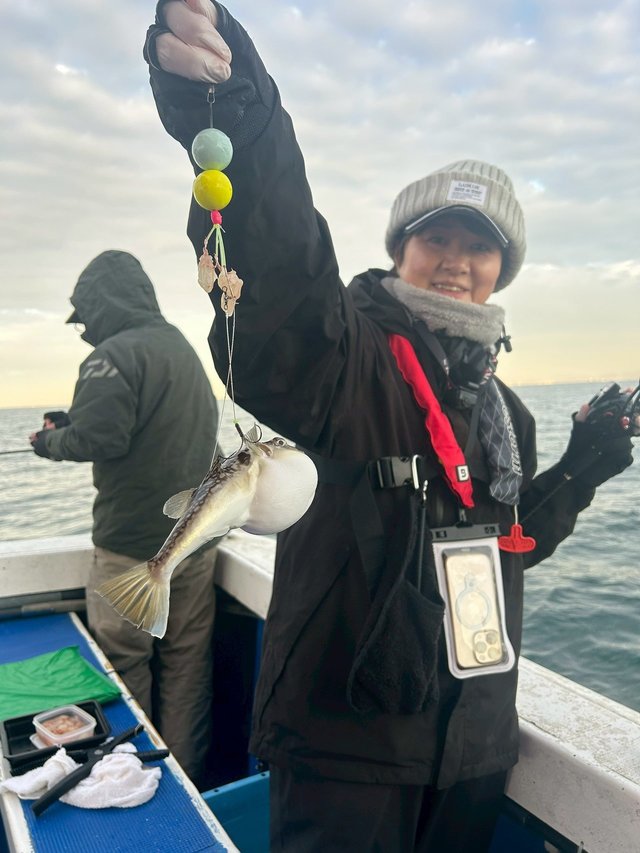 ショウサイフグ