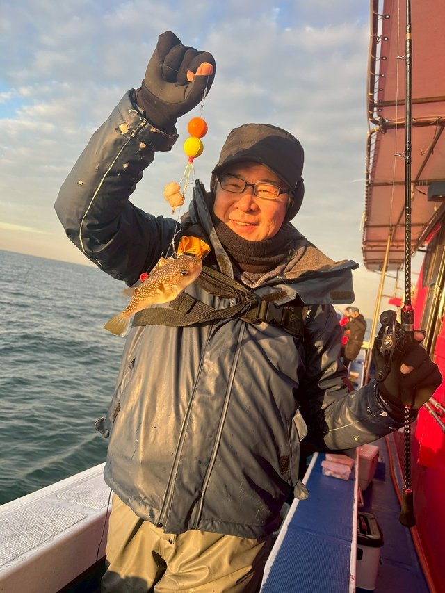 ショウサイフグ