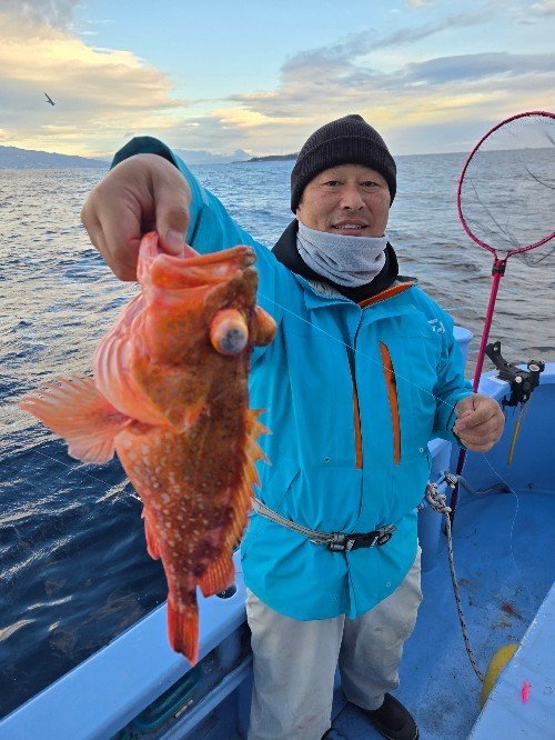 ウッカリカサゴ