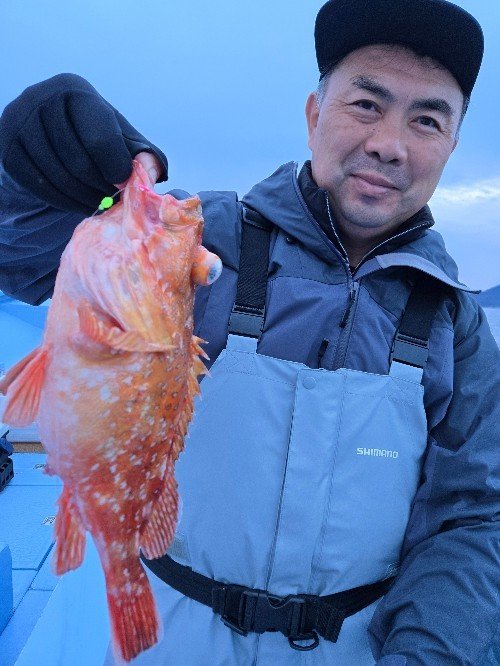 ウッカリカサゴ