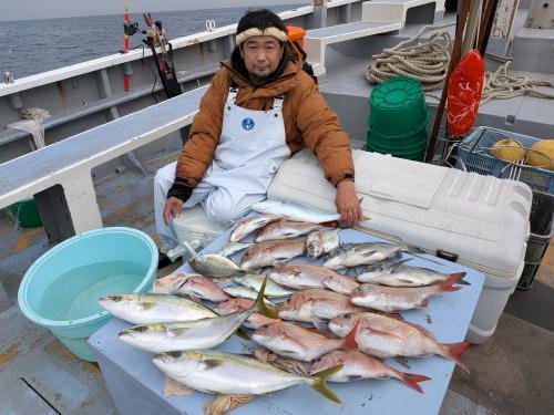 マダイ・クロダイ・アジ(マアジ)・カイワリ・イナダ(ブリ)
