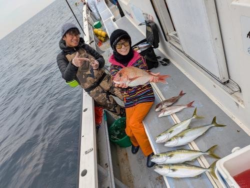 マダイ・イナダ(ブリ)