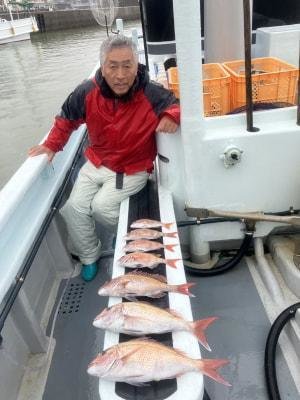 マダイ・コダイ(マダイ)