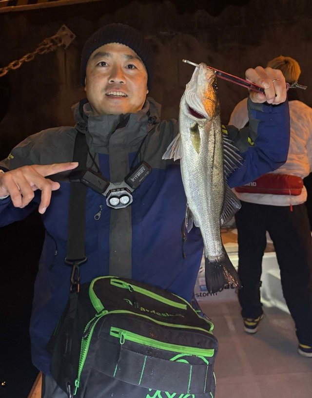 シーバス(スズキ)