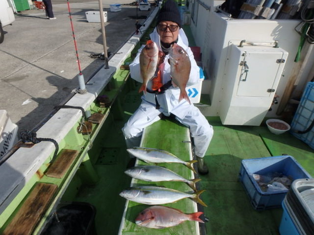 マダイ・イナダ(ブリ)