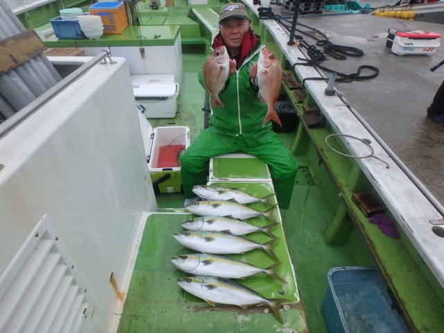 マダイ・イナダ(ブリ)