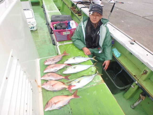 マダイ・イナダ(ブリ)