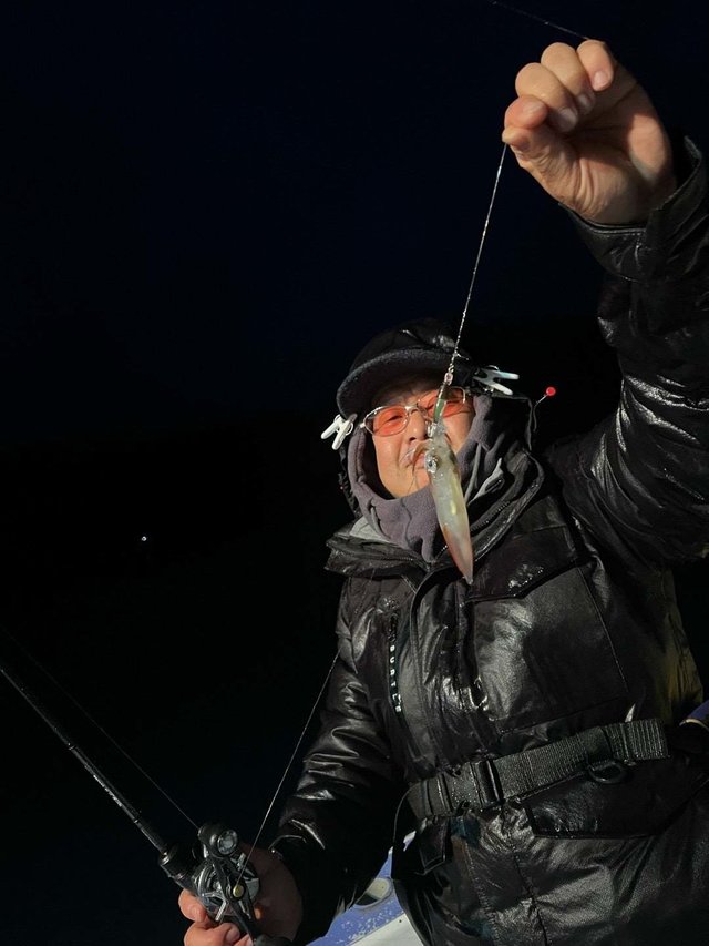 マルイカ(ケンサキイカ)