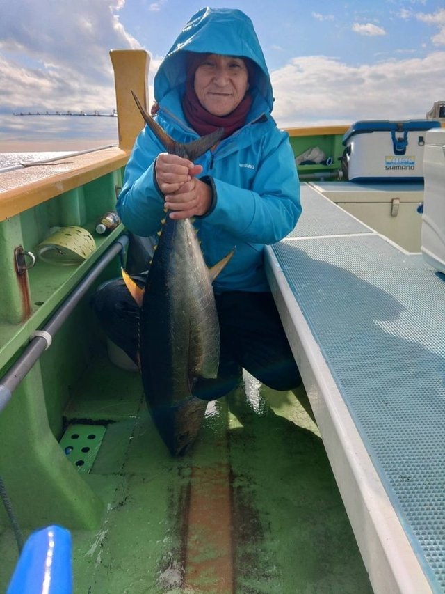 キメジ(キハダ)