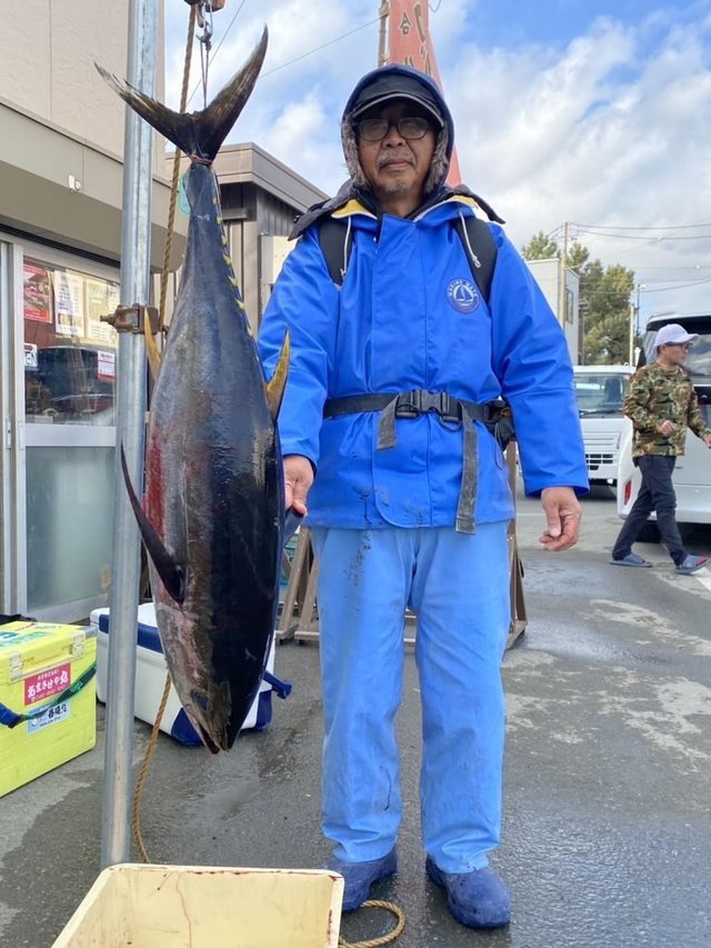 キメジ(キハダ)