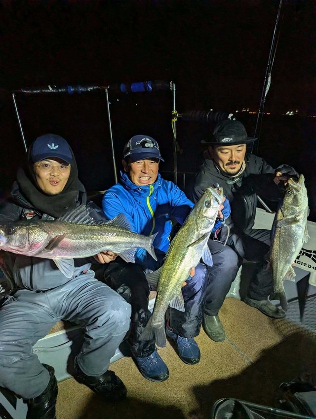 シーバス(スズキ)