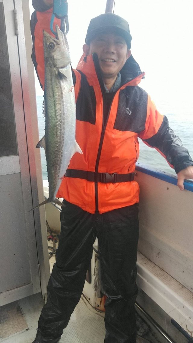 サゴシ(サワラ)