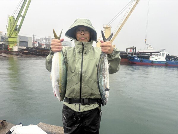 メジロ(ブリ)・サゴシ(サワラ)