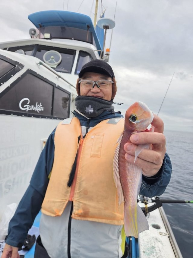 アマダイ(アカアマダイ)