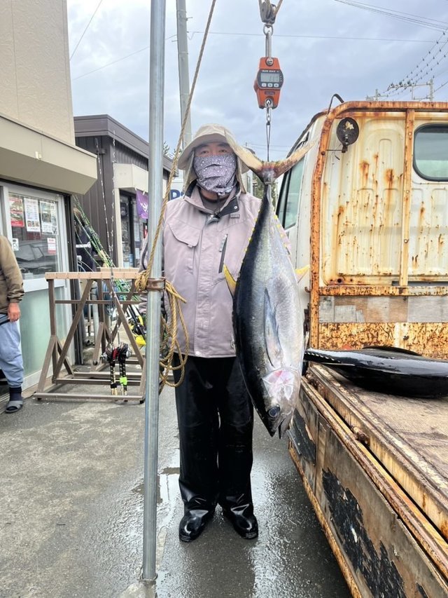 キメジ(キハダ)