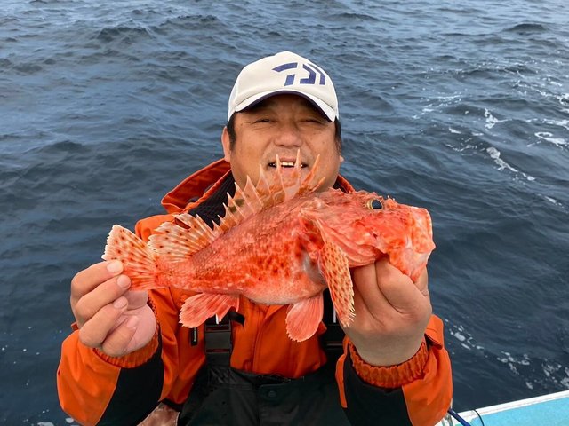 カンコ(ウッカリカサゴ)