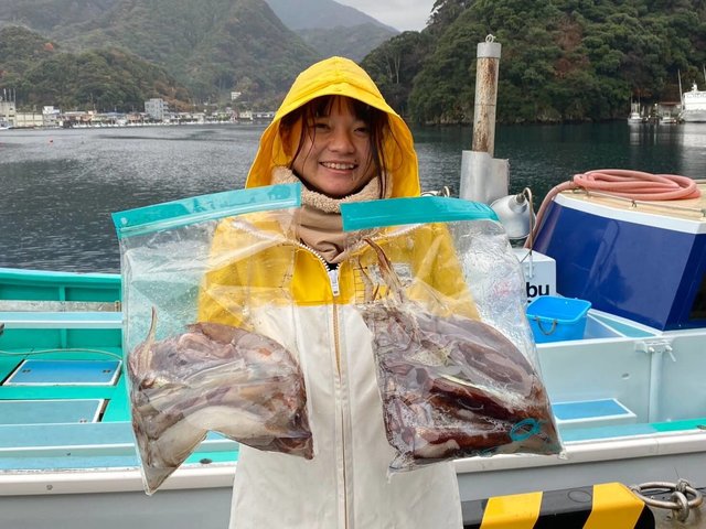 ヤリイカ・スルメイカ