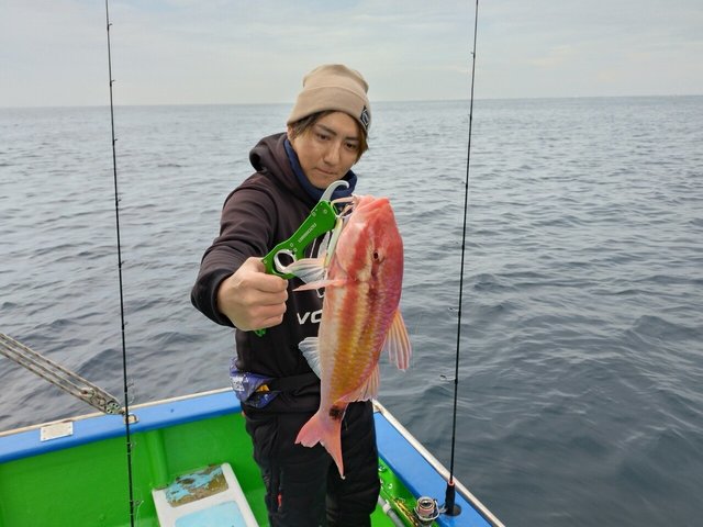 イトヨリ(イトヨリダイ)