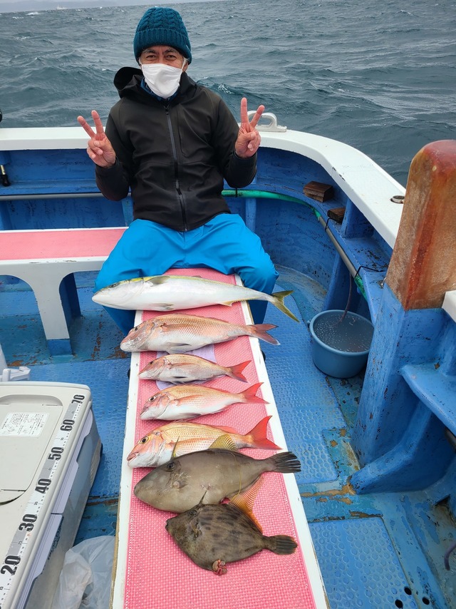 マダイ・ワラサ(ブリ)