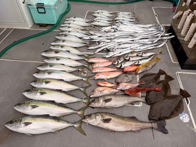 マダイ・ブリ・アマダイ(アカアマダイ)・タチ(タチウオ)・ホウボウ・ヒラメ