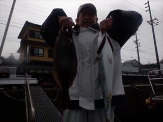 ハマチ(ブリ)・ヒラメ