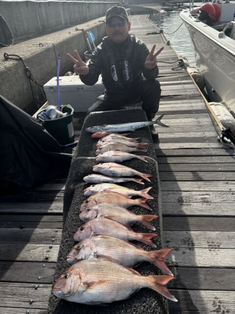 マダイ・アコウ(キジハタ)・サゴシ(サワラ)