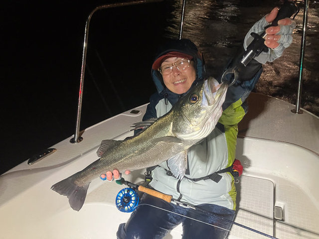 シーバス(スズキ)