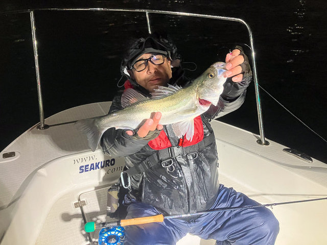 シーバス(スズキ)